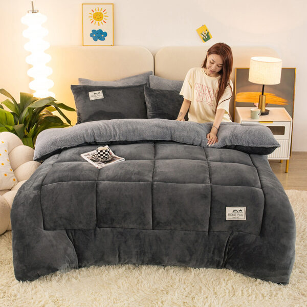 0123a43f-719f-4796-8e6b-b4582b43f818.jpg Winter Thermal Coral Fleece Blanket Duvet