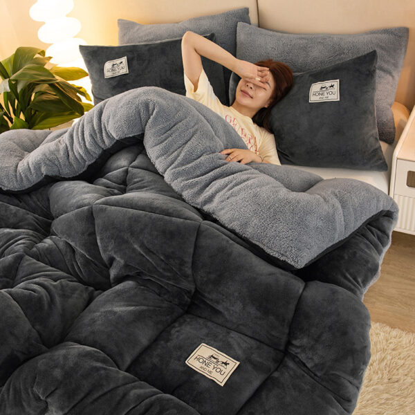 45e87aec-c088-4f7f-9d09-9f888717a34b.jpg Winter Thermal Coral Fleece Blanket Duvet