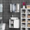 Wall Mounted Mirror Cabinet, Bathroom Medicine Cabinet with Mirror, 2 Doors and 3-tier Shelving, Silver